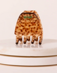 GIGI - Mini Pince