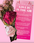 RITUEL DE FUMIGINATION - LOVE IS THE AIR