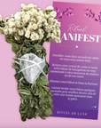 RITUEL DE LUNE - RITUEL DE FUMIGATION : MANIFEST