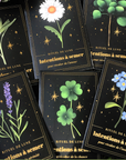 RITUEL DE LUNE - INTENTIONS A SEMER