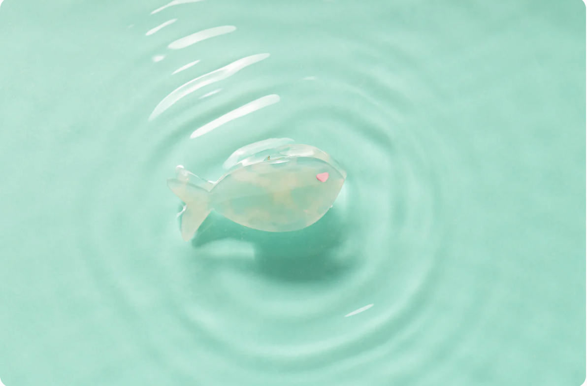 GIGI - PINCE PISCIS LAGON