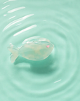 GIGI - PINCE PISCIS LAGON
