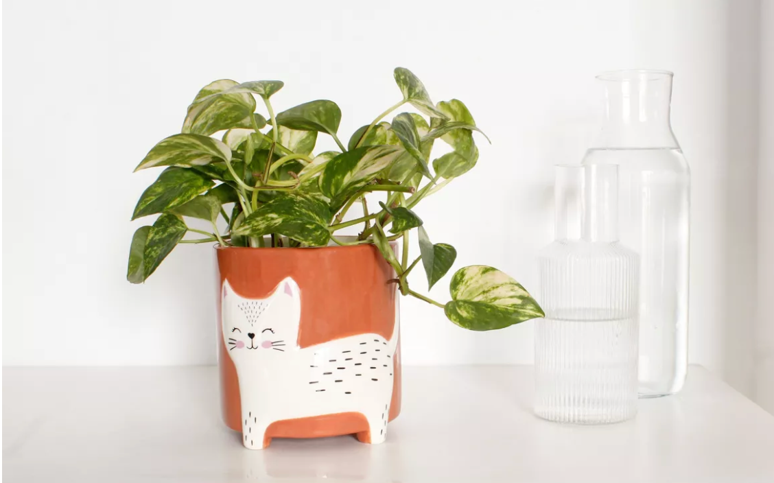 WINKEE - POT DE FLEURS CHAT