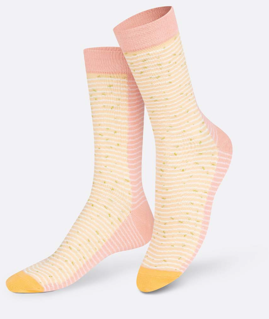 EAT MY SOCKS - Miso Ramen