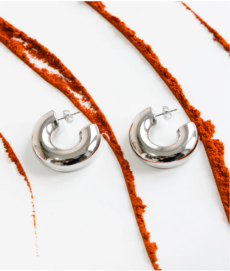 ZAG BIJOUX - Boucles d'oreilles CHANTAL acier argenté