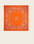 WILD - Foulards Paisley Big Terre