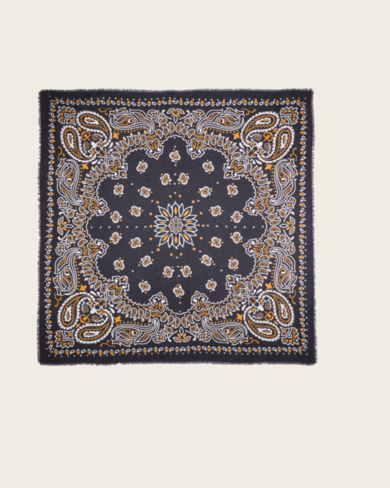 WILD - Foulards Paisley Big Noir