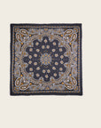 WILD - Foulards Paisley Big Noir