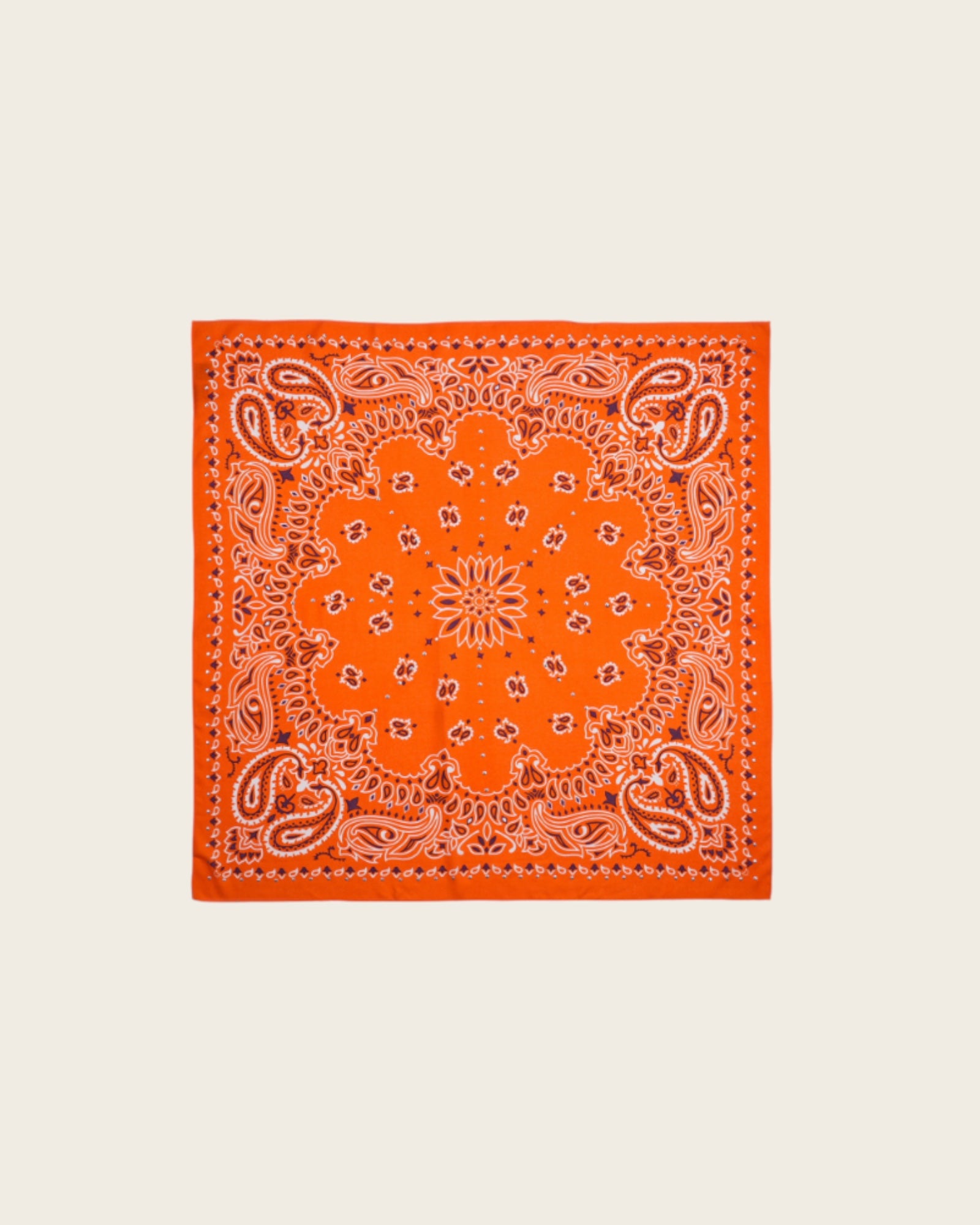 WILD - Foulards Paisley Medium Terre