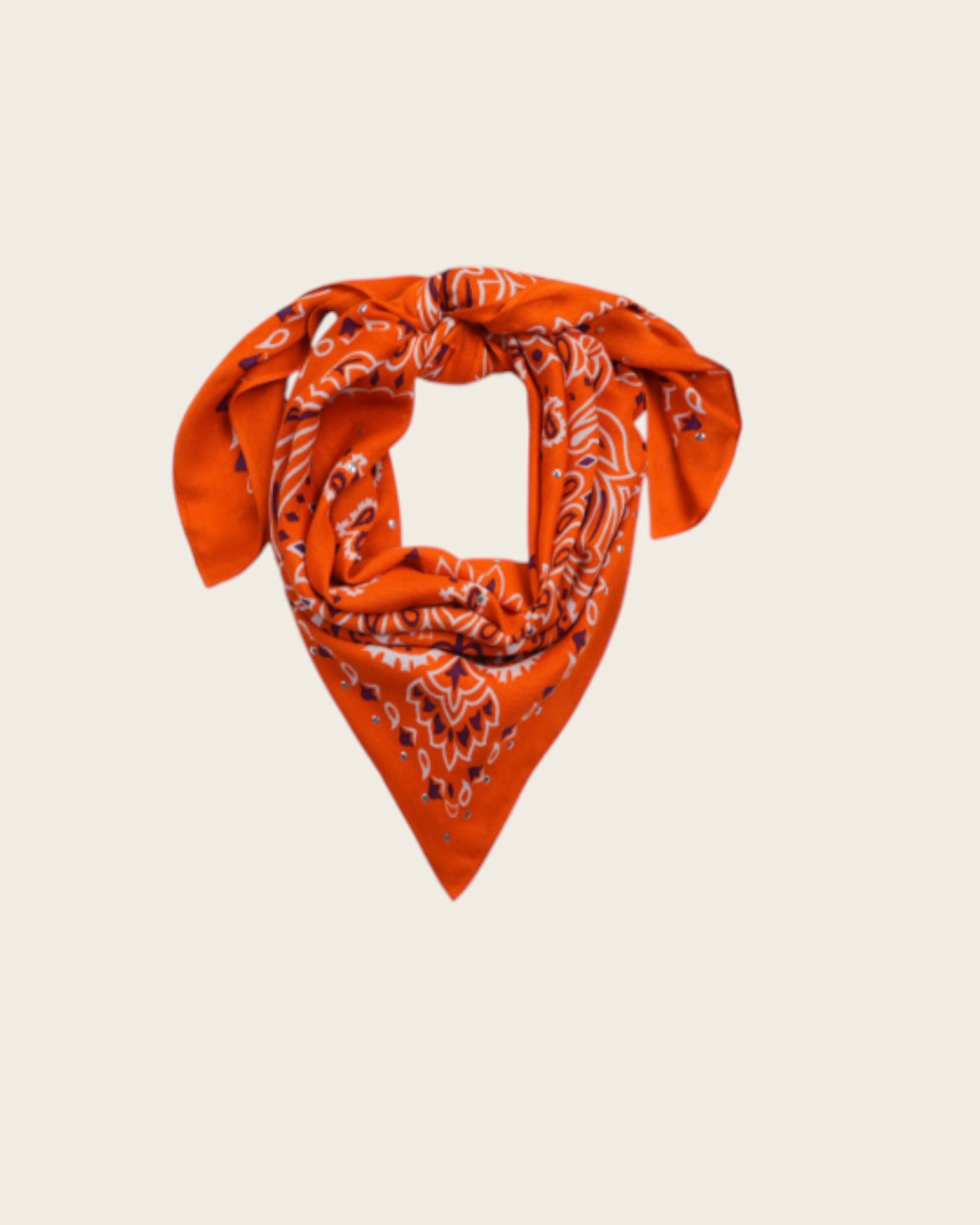WILD - Foulards Paisley Medium Terre