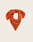 WILD - Foulards Paisley Medium Terre
