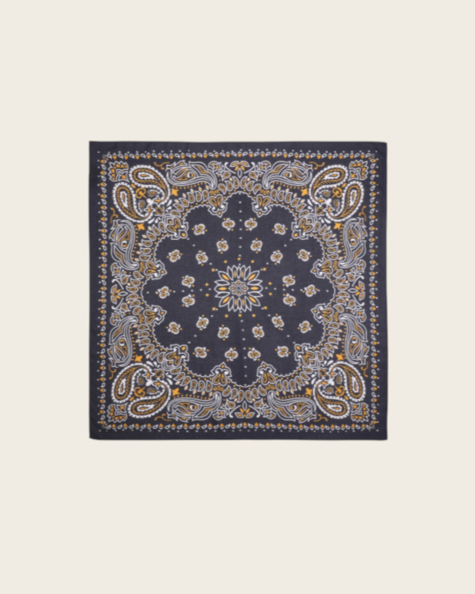WILD - Foulards Paisley Medium Noir