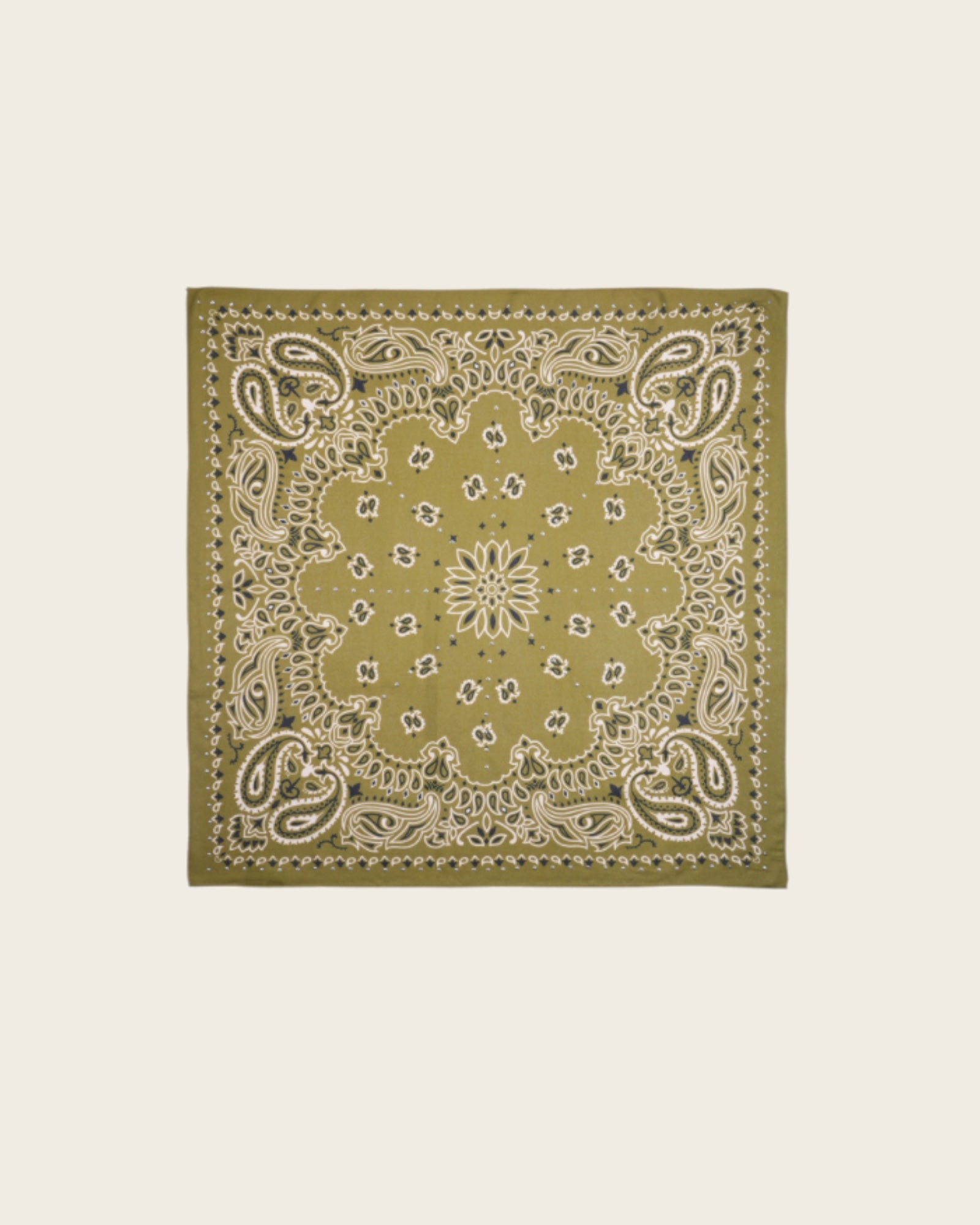WILD - Foulards Paisley Medium Kaki