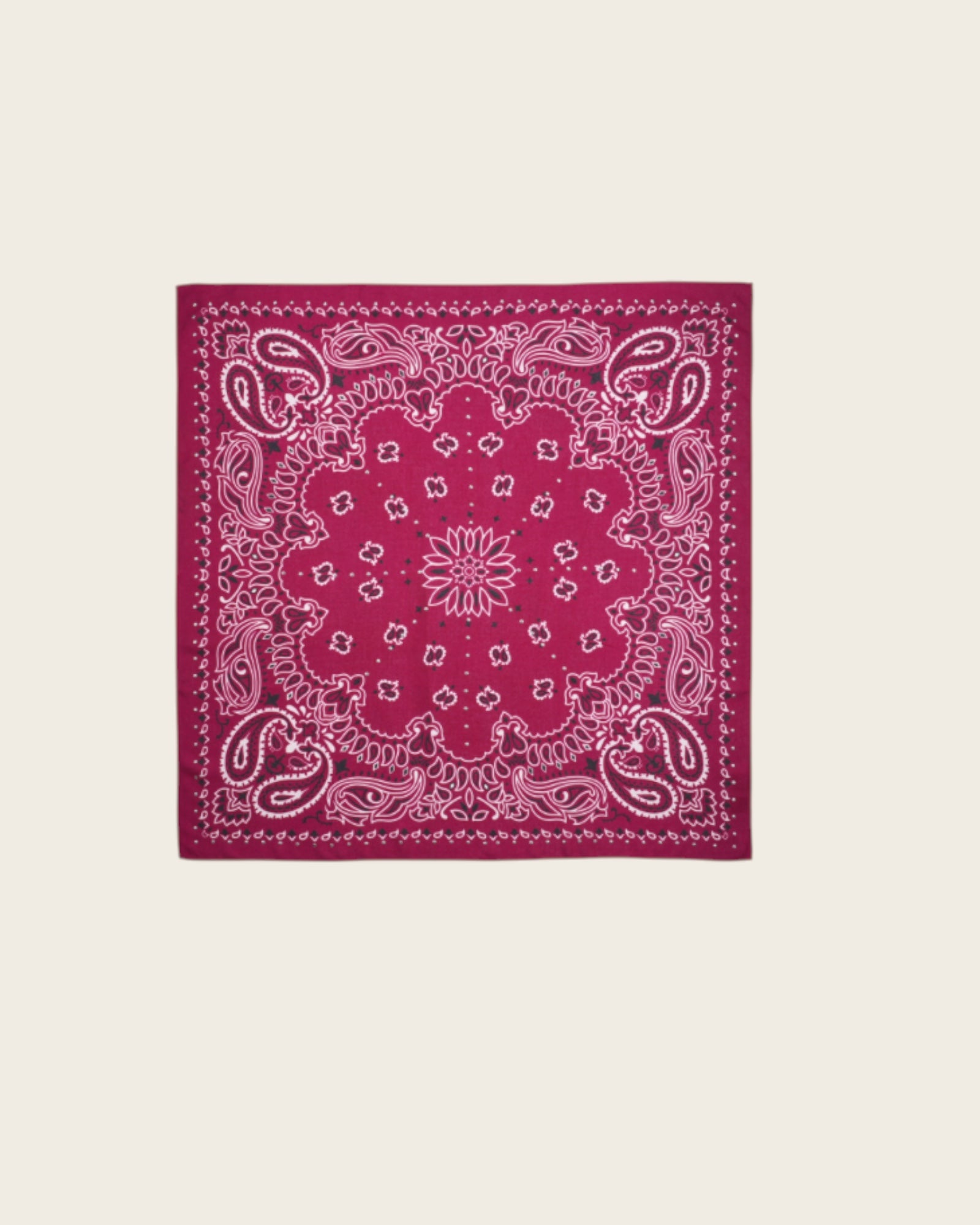 WILD - Foulards Paisley Medium Bordeaux