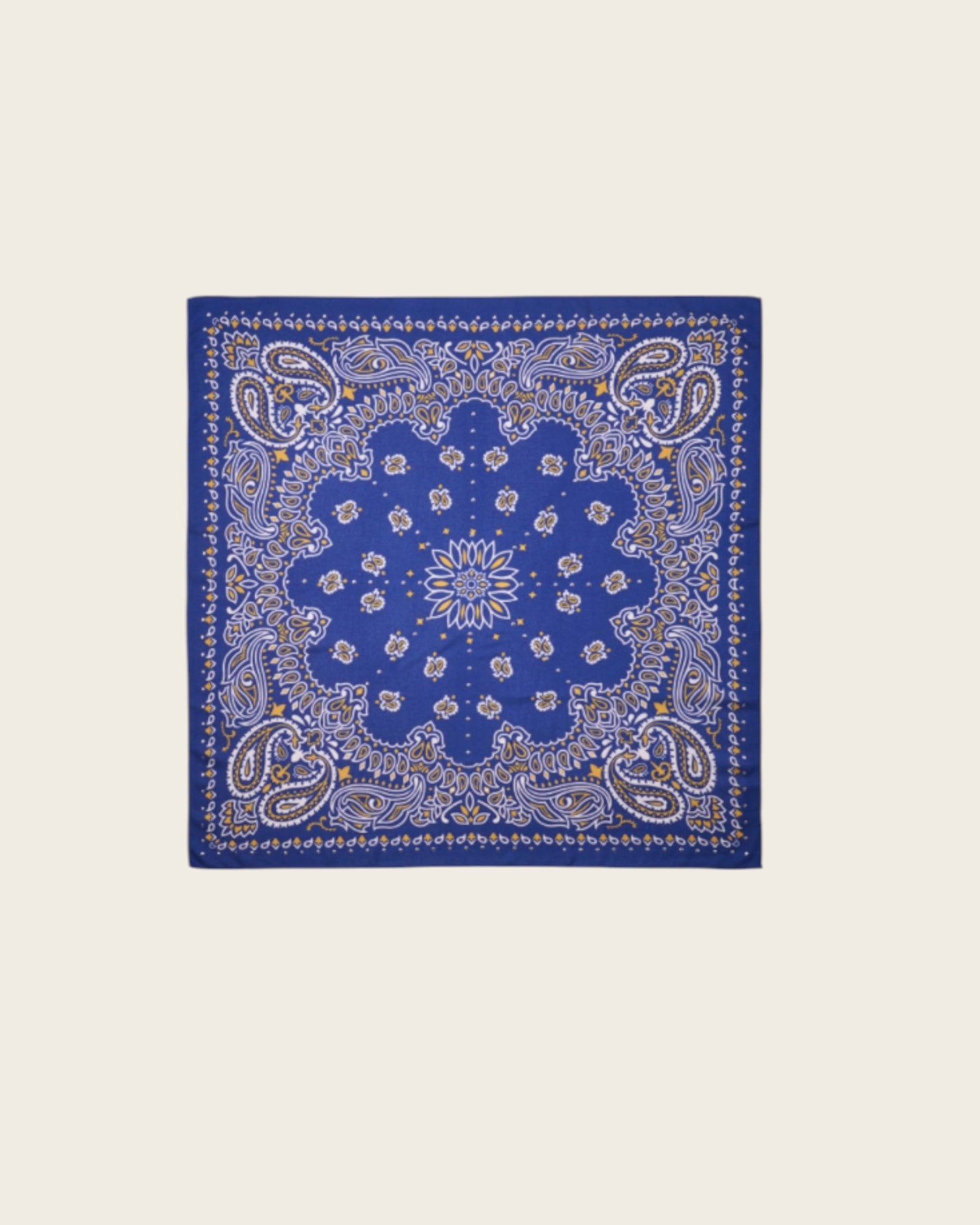 WILD - Foulards Paisley Medium Bleu