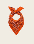 WILD - Foulards Paisley Mini Terre