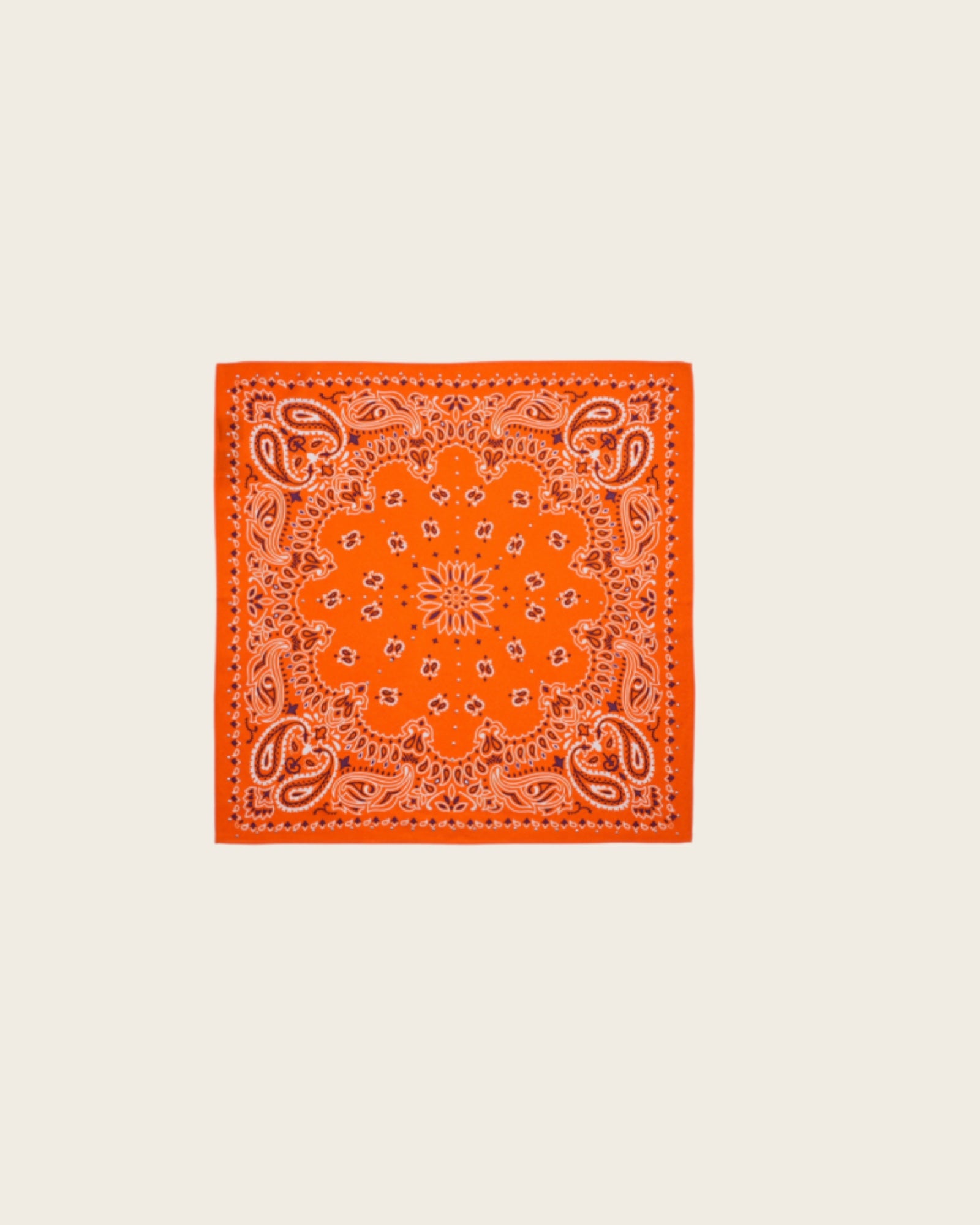 WILD - Foulards Paisley Mini Terre