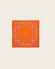 WILD - Foulards Paisley Mini Terre
