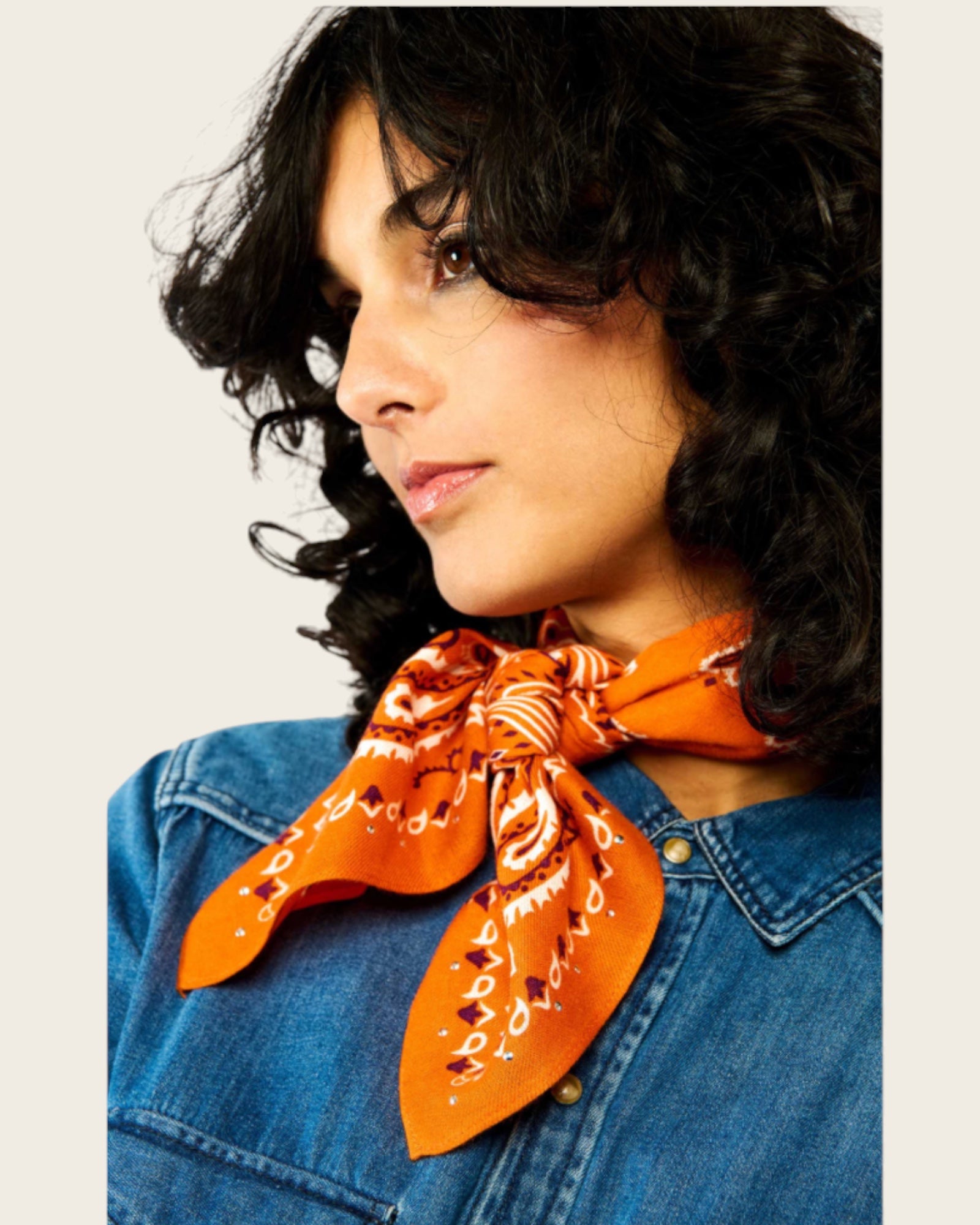 WILD - Foulards Paisley Mini Terre