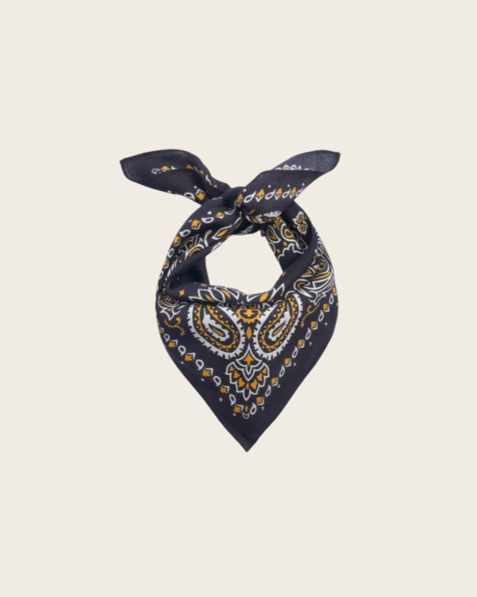 WILD - Foulards Paisley Mini Noir