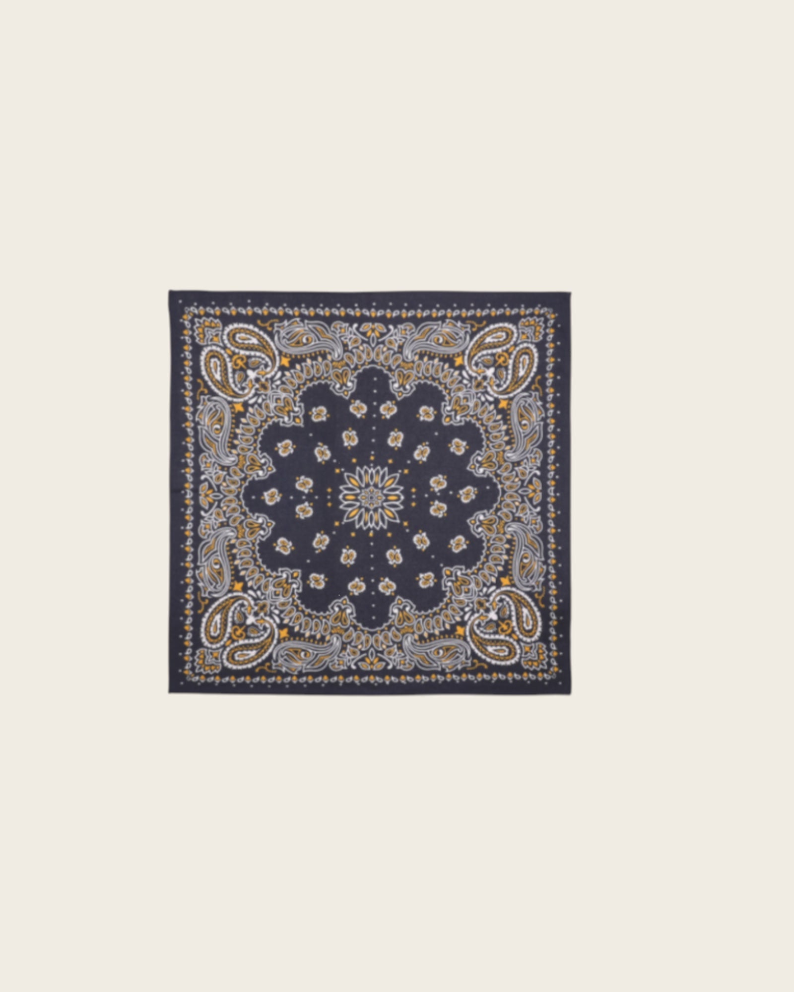 WILD - Foulards Paisley Mini Noir