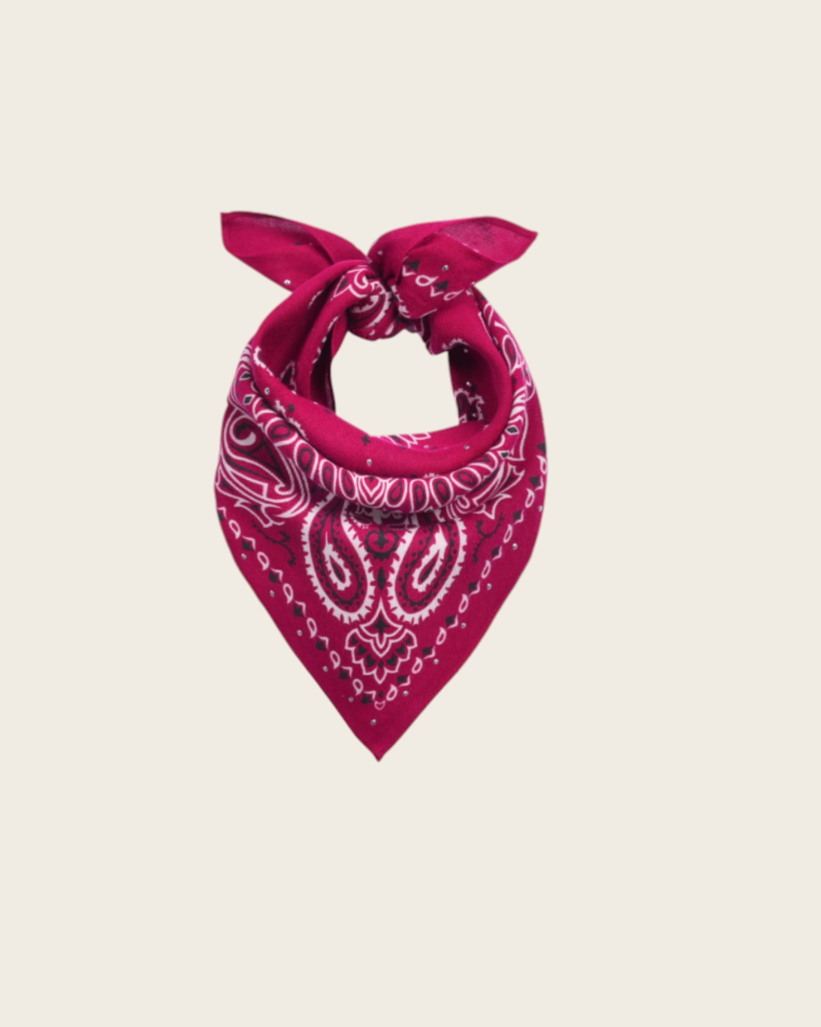WILD - Foulards Paisley Mini Bordeaux