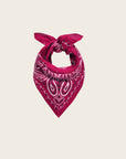 WILD - Foulards Paisley Mini Bordeaux