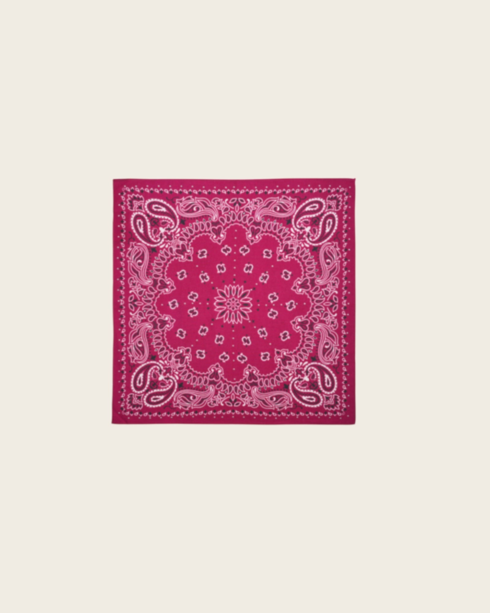WILD - Foulards Paisley Mini Bordeaux