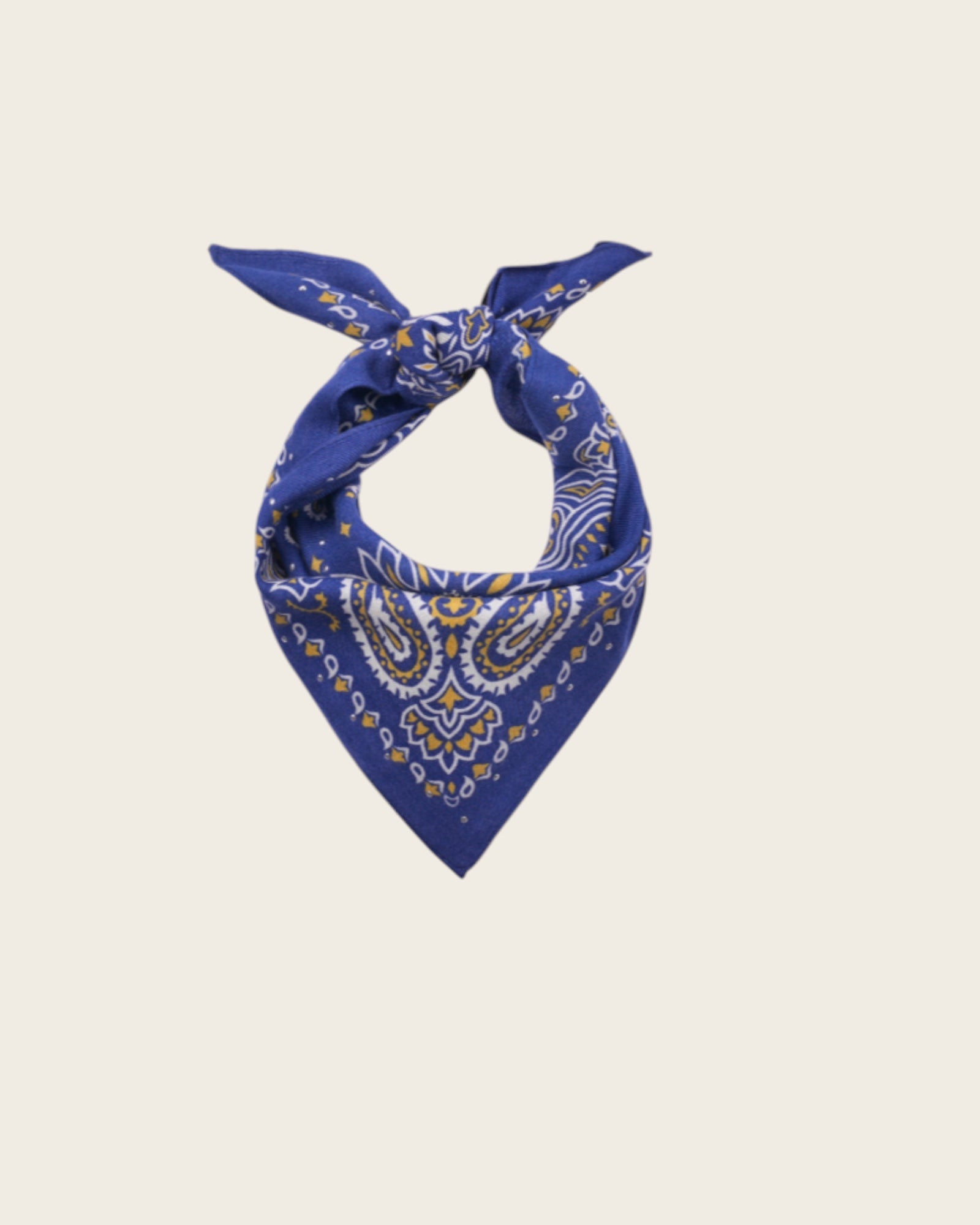 WILD - Foulards Paisley Mini Bleu