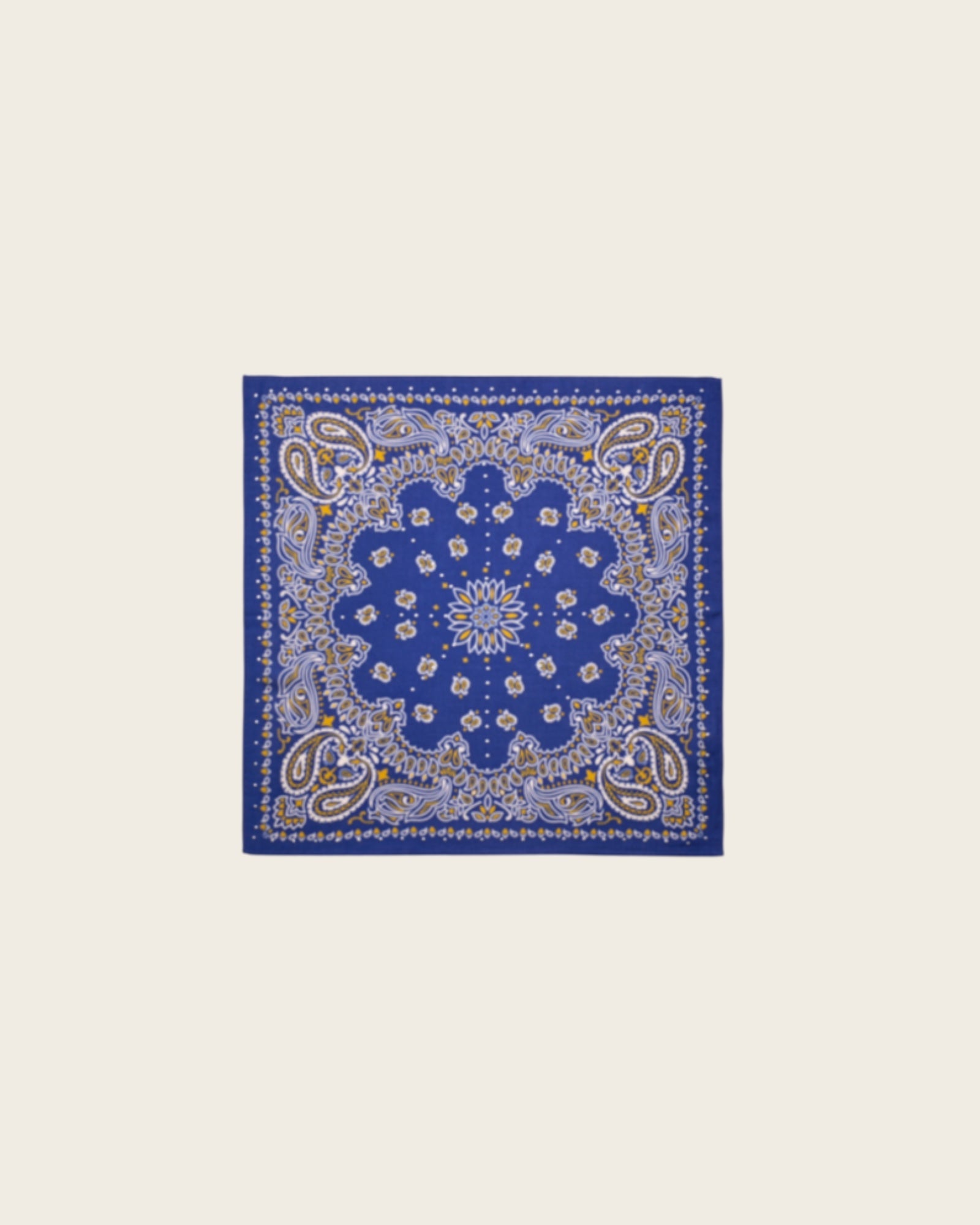 WILD - Foulards Paisley Mini Bleu