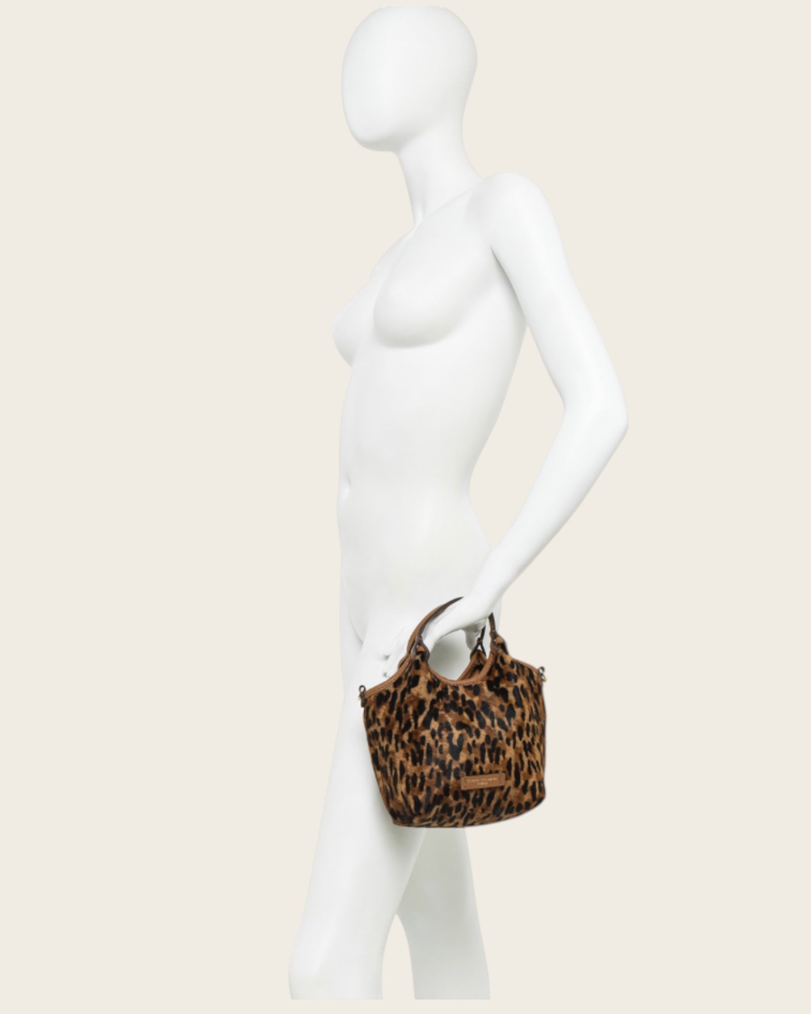 GIANNI CHIARINI - Dua BS Lince Cuoio