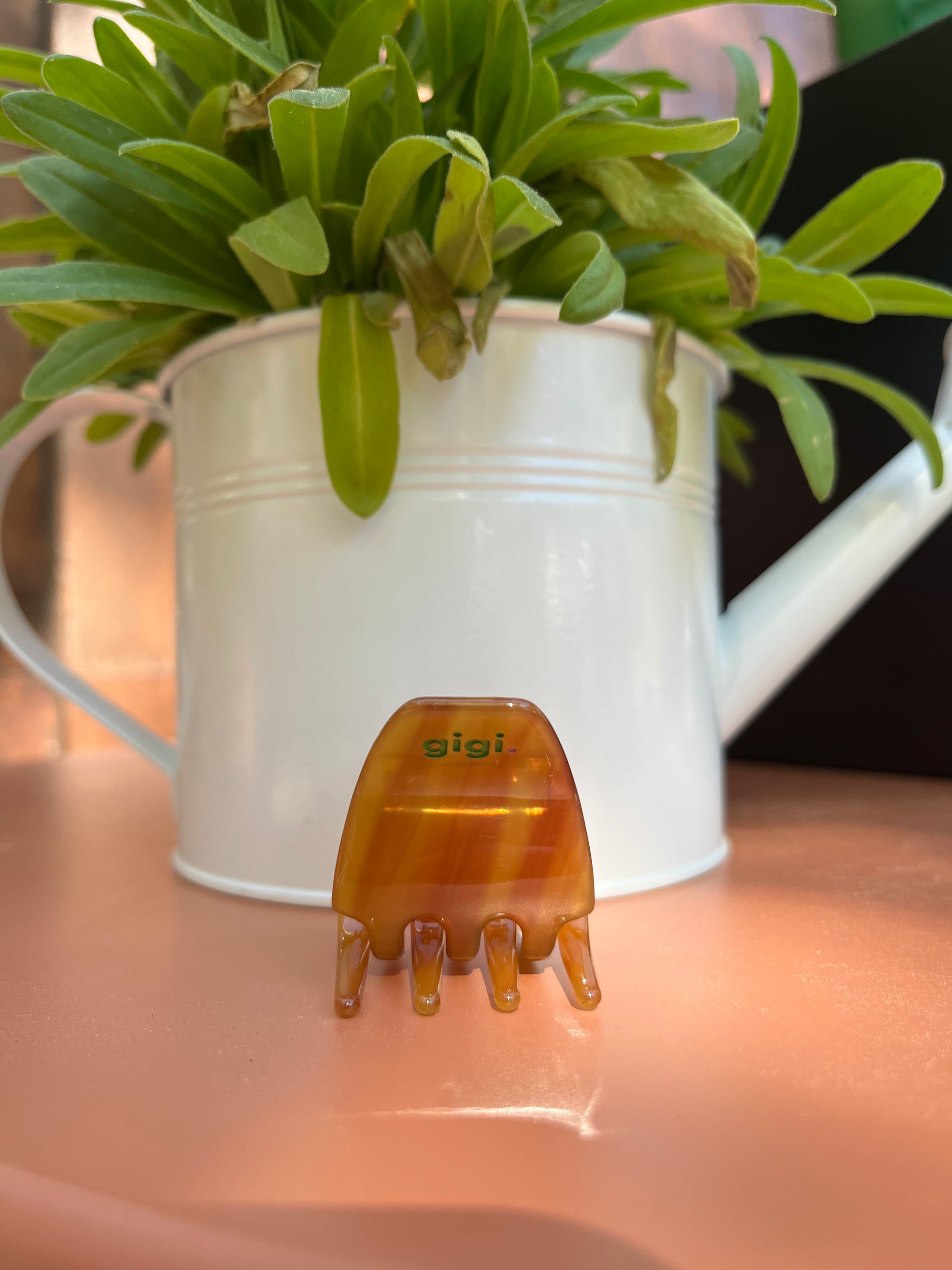 GIGI - Mini Pince