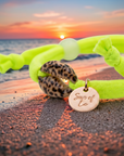 SUN OF LO - BRACELET COWRIE SWIN WILD - 2 COULEURS