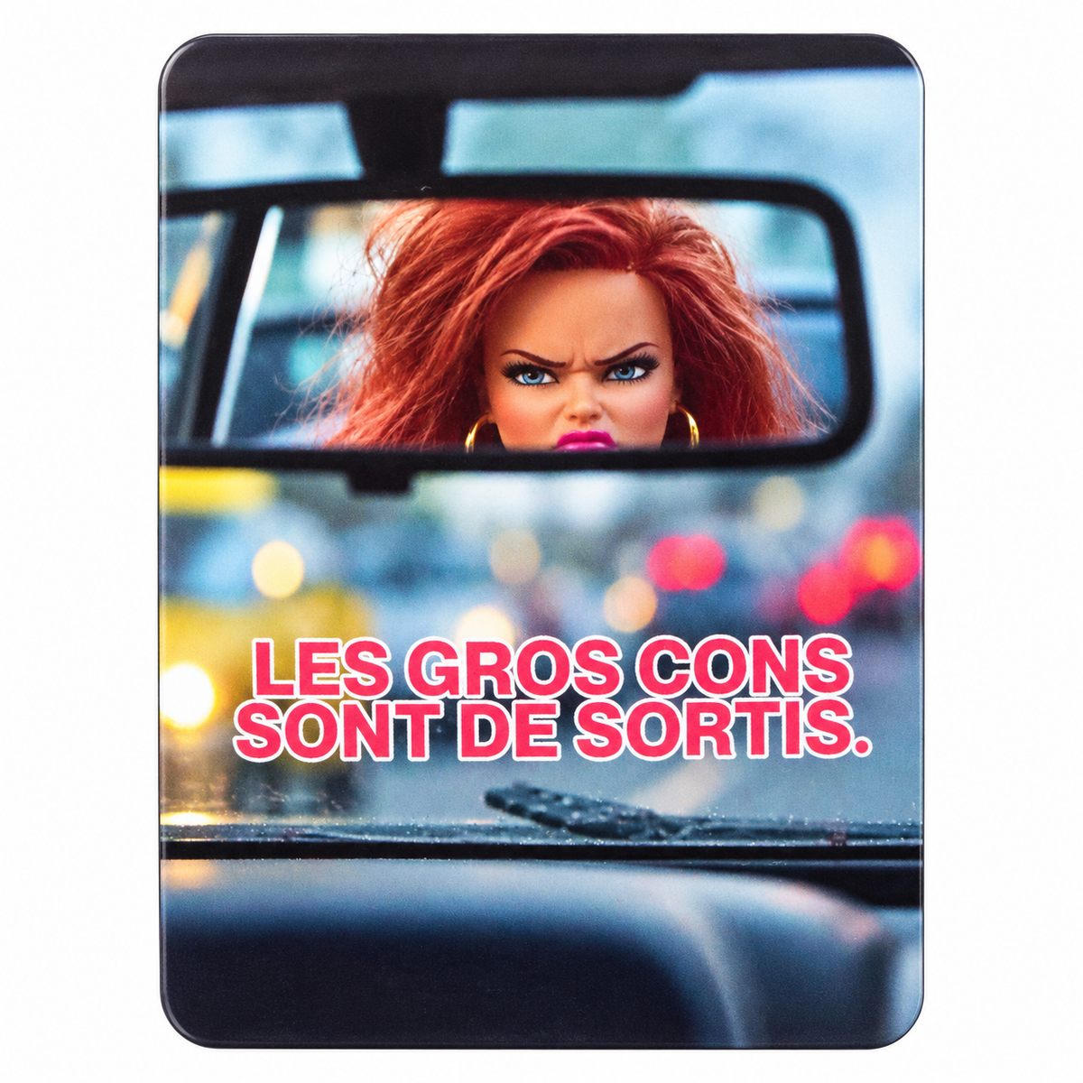 ENCRE ET CREATIONS - MAGNETS - THEME VIE COURANTE AVEC EXCLU TOPAZE