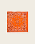 WILD - Foulards Paisley Medium Terre