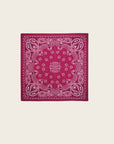 WILD - Foulards Paisley Medium Bordeaux