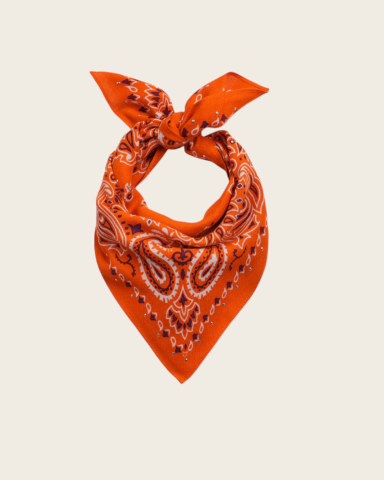 WILD - Foulards Paisley Mini Terre