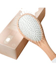 BACHCA - BROSSE DEMELAGE ET VOLUME - GRANDE BROSSE