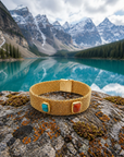 GAS BIJOUX - BRACELET TOTEM PIERRE CORNALINE ET TURQUOISE DORE - TAILLE 2