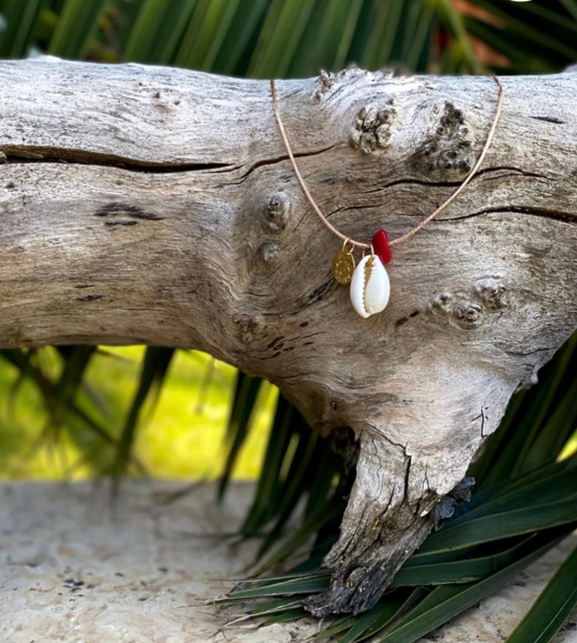 SUN OF LO - COLLIER FIN COWRIE CORAIL