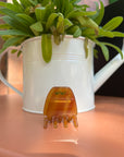 GIGI - Mini Pince